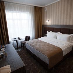 Фото Отель Родина