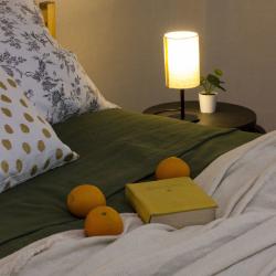 Фото Апартаменты на Красном проспекте