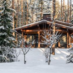 Коттедж премиум 