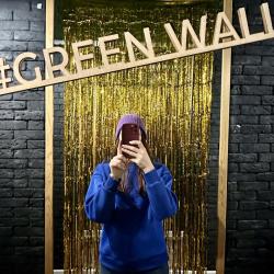 Фото Отель GreenWall (Гринволл)
