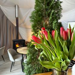 Фото Отель Cloud Park Altay (Клауд Парк Алтай)