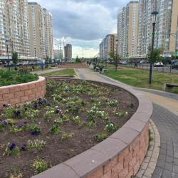Фото Апартаменты на улице Струве 3 корп. 1