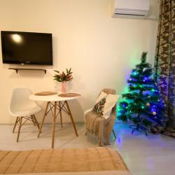 1-комнатные апартаменты студия