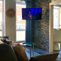 Фото Апартаменты Kantiata Neuhausen (Кантиата Нойхаузен) на Краковском бульваре