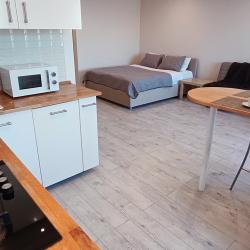 1-комнатные апартаменты студия