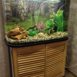 Фото Апартаменты на улице Садовая, 329