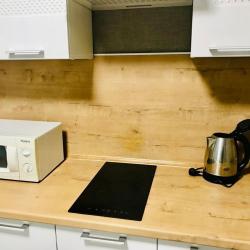 Фото Апартаменты на улице Академика Павлова 43