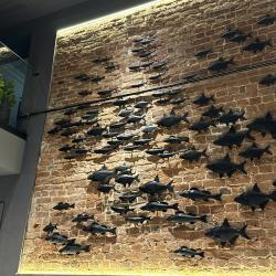 Рыбные ряды — de427027e3a59e502a46c24e8458379a