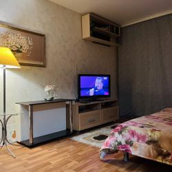 Фото Апартаменты на улице Гагарина 1