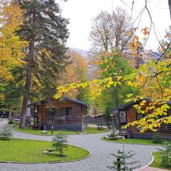 Фото Отель Arkhyz Family Club ( Фэмили Клаб)