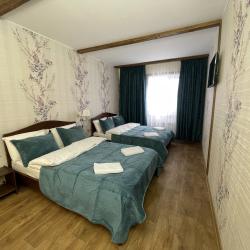 Фото Отель Шишкино-парк аэропорт Домодедово