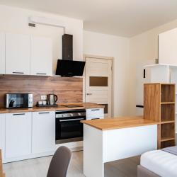 фото 4 InnDays Apartments (ИннДейс Апартментс) на улице Верхне-Каменская