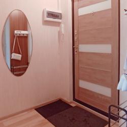 Фото Апартаменты на улице Цинковая 20