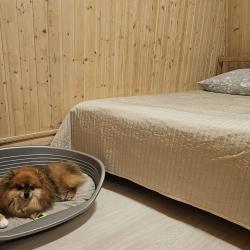 Фото Отель Белый Орел