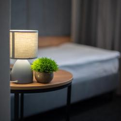 Фото Отель Орион