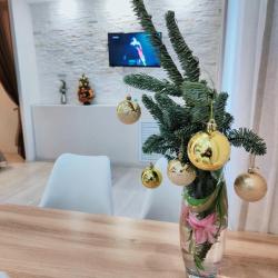 1-комнатные апартаменты улучшенные