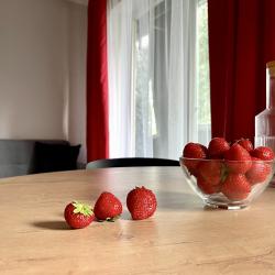 Фото Отель Apart Mari (Апарт Мари) на улице Черняховского