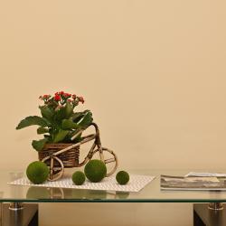 Фото Отель Евродвушка возле зоопарка