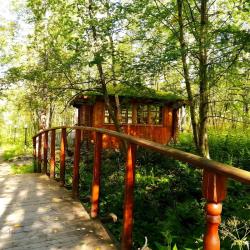 Фото Отель Лапландия