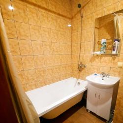 1-комнатные апартаменты стандарт г.Чебаркуль, ул. Карпенко, д. 4в, кв. 64 (мансарда)