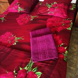 Фото Апартаменты на улице Багаева 25/1