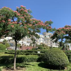 Фото Отель Palmira Palace Resort & SPA (Пальмира Палас Резорт и СПА)