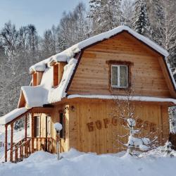 Фото Отель Усадьба Лебедь