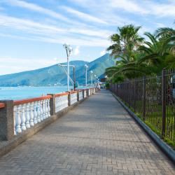 Фото Отель Санаторно-курортный комплекс Alex Resort & Spa Hotel (Алекс Резорт и Спа)