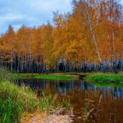 Фото Отель Хаски Хаус