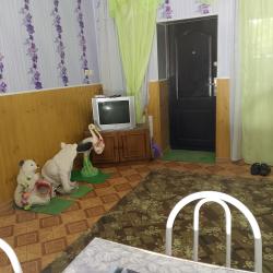 Фото Отель У Елены