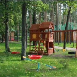 Фото Отель Лесной