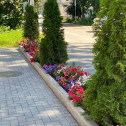 Фото Отель Корона