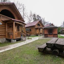 фото 49 Чайка