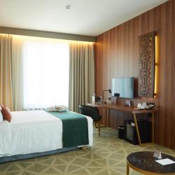 Фото Отель Mercure Saransk Center (Меркюр Центр)