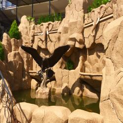 Фото Отель Эрика