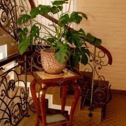 Фото Отель Bek Таshkent (Бек )