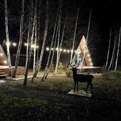 Фото Отель Forest Glamp Uvarovo (Форест Глэмп Уварово)