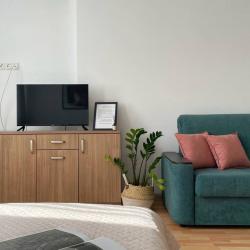 1-комнатные апартаменты студия