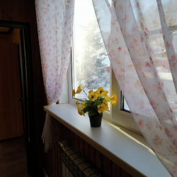 Фото Отель Лотос