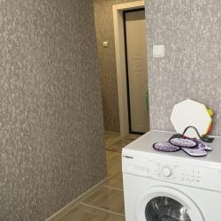 Фото Апартаменты на проспекте Ленина 1Б