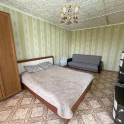 1-комнатные апартаменты студия пр-кт Чкалова 51Б