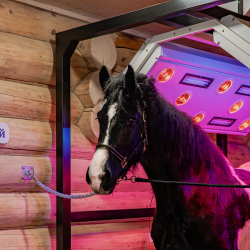 Фото Парк-Отель Басовское