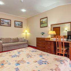 Номер полулюкс с 1 двуспальной кроватью