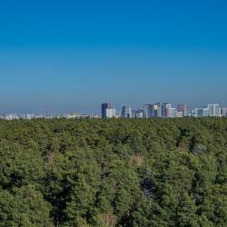 1-комнатные апартаменты стандарт
