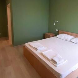 Фото Отель Цитрус 1