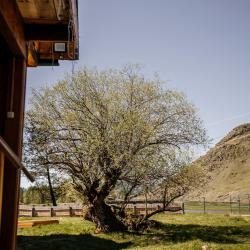 Фото Отель Алтайские дачи