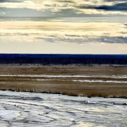Фото Отель Like Home (Лайк Хоум) на проспекте Морской 72