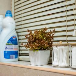 1-комнатные апартаменты улучшенные