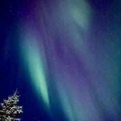 Фото Отель Лапландия