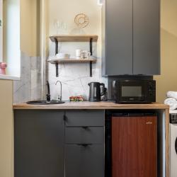 1-комнатные апартаменты студия Turgenev apartments